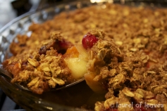 Cranberry Apple Crisp