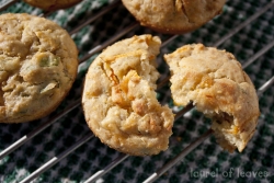 Salmon Polenta Muffins